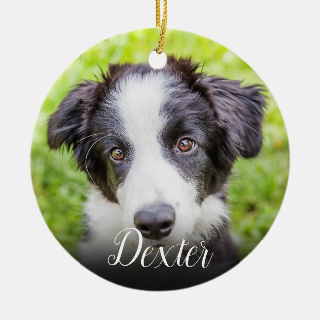 Your Favourite Pet Photo Ceramic Tree Decoration (Front)