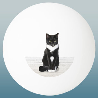 Your Favourite Pet Photo Keepsake Ping Pong Ball