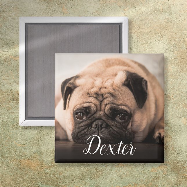 Your Favourite Pet Photo Magnet (Personalized Dog Cat Pet Photo Script Name Magnet)