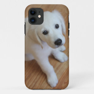 your favourite pet photo on an iphone4 case