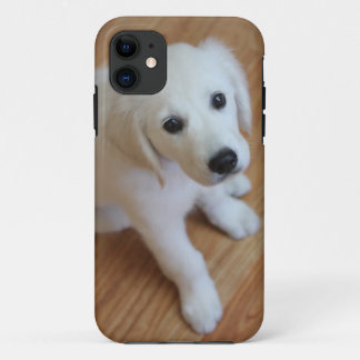 your favourite pet photo on an iphone4 case