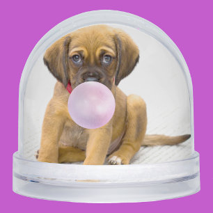 Your Funny Dog Photos, 2 Total Snowglobe