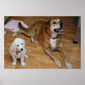 Your furr babies on paper poster