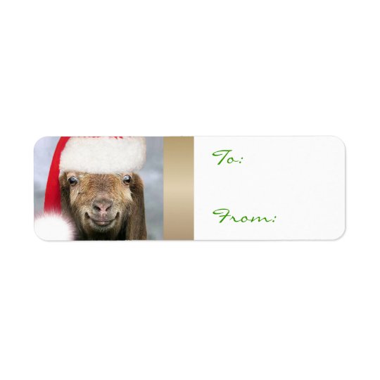 YOUR GOAT PHOTO Goat Christmas Gift Tag Return Address Label