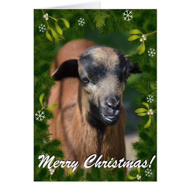 YOUR GOAT PHOTO in this Boughs and Mistletoe Frame (Front)