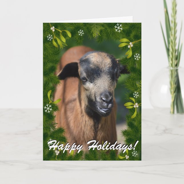 YOUR GOAT PHOTO in this Boughs and Mistletoe Frame Holiday Card (Front)