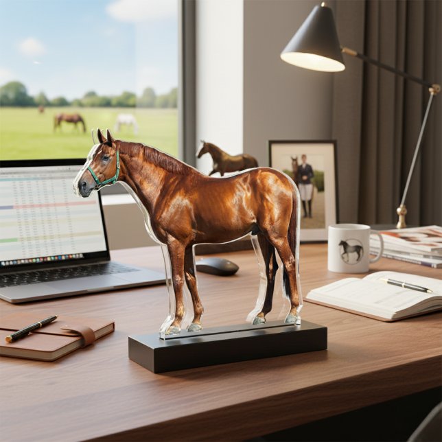 Your Horse Photo Acrylic Statuettes Cutout Standing Photo Sculpture (Your Horse Photo Acrylic Statuettes Cutout)
