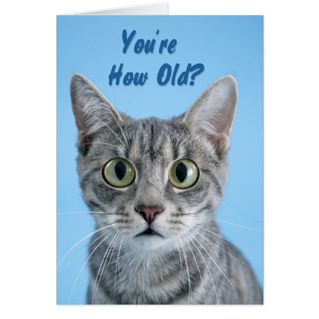 Your How Old? - cat (Front)