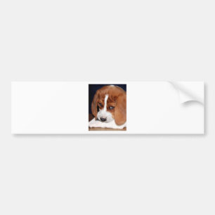 Your Image Here Bumper Sticker