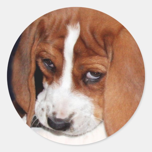 Your Image Here Classic Round Sticker (Front)