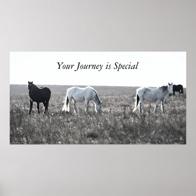 Your Journey Poster (Front)
