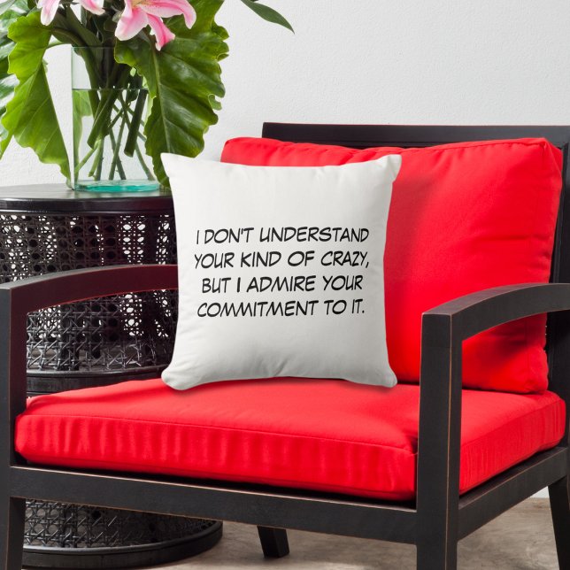 Your Kind of Crazy Cushion (Creator Uploaded)