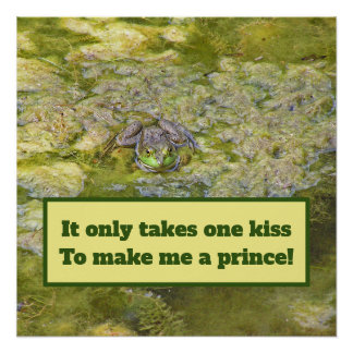 "Your Kiss Will Turn Me Into A Prince"/Frog poster