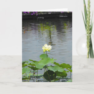 Your Message ~ 26 Thank You Card