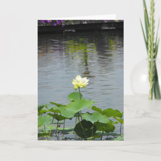 Your Message ~ 26 Thank You Card