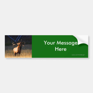 Your Message Bumper Sticker