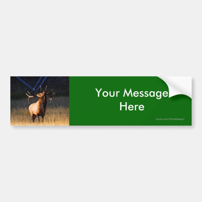 Your Message Bumper Sticker (Front)