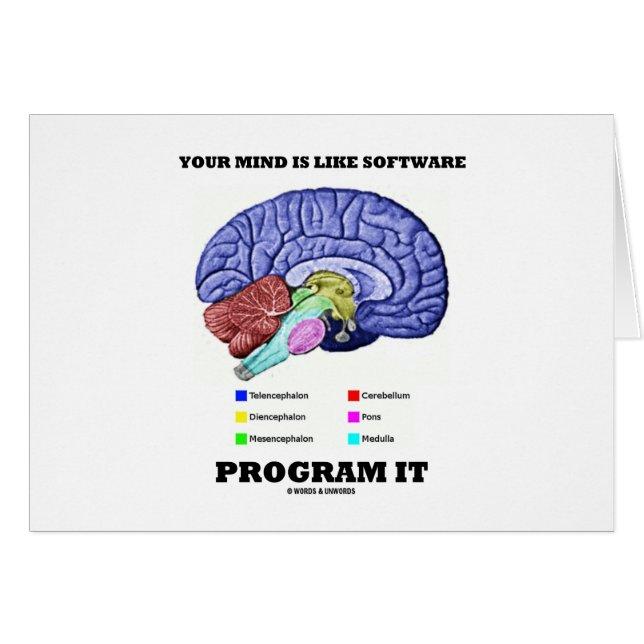 Your Mind Is Like Software Program It (Brain) (Front Horizontal)