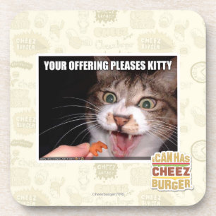 Your Offering Pleases Kitty Coaster