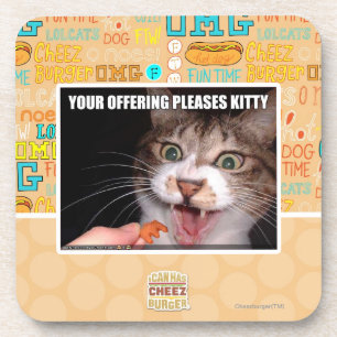 Your Offering Pleases Kitty Coaster