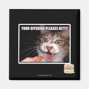Your Offering Pleases Kitty Magnet