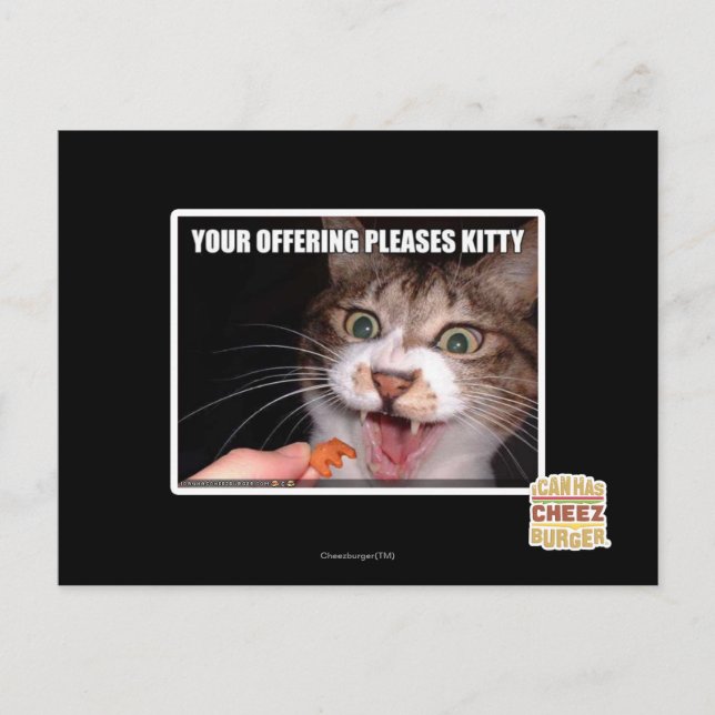 Your Offering Pleases Kitty Postcard (Front)