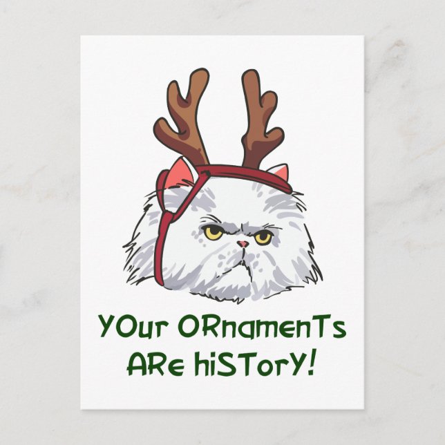 Your Ornaments are History Postcard (Front)