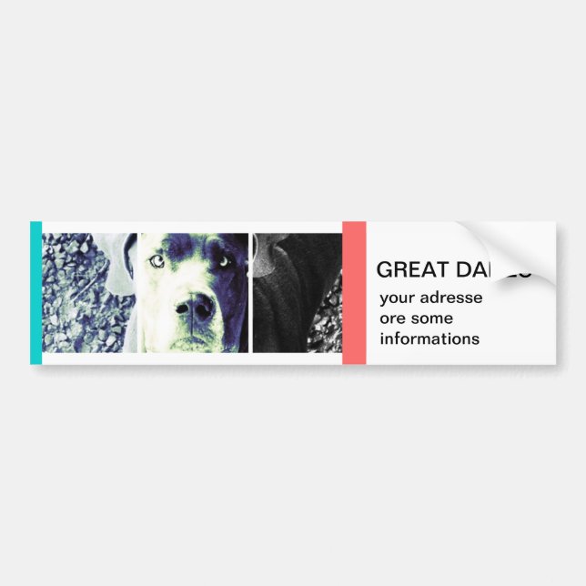 your own Bumper Sticker (Front)