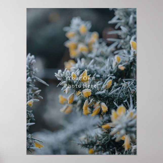 Your Own Personalised Photo Poster. Poster (Front)