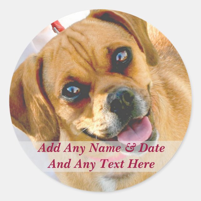 Your Own Photo And Custom Text Stickers (Front)