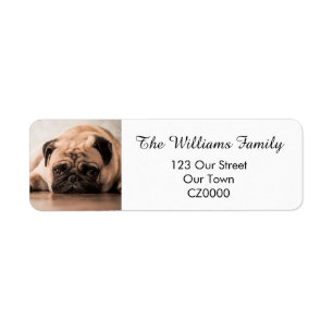 Your Personalised Pet Photo Address