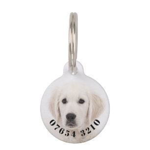Your pet and phone number on a  pet tag