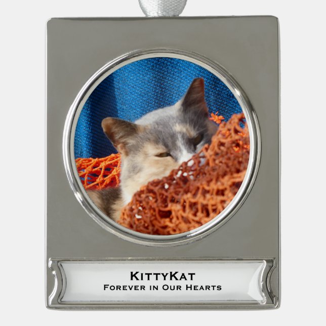 YOUR Pet Cat or Dog PHOTO, Name, Silver Plated Banner Ornament (Front)