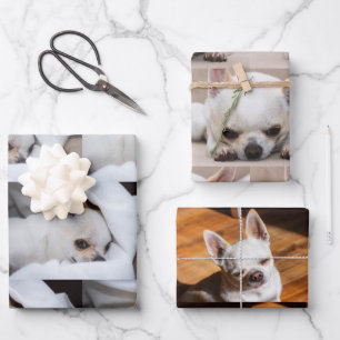 Your pet dog custom 3 photo chihuahua pattern Gift Wrapping Paper Sheet