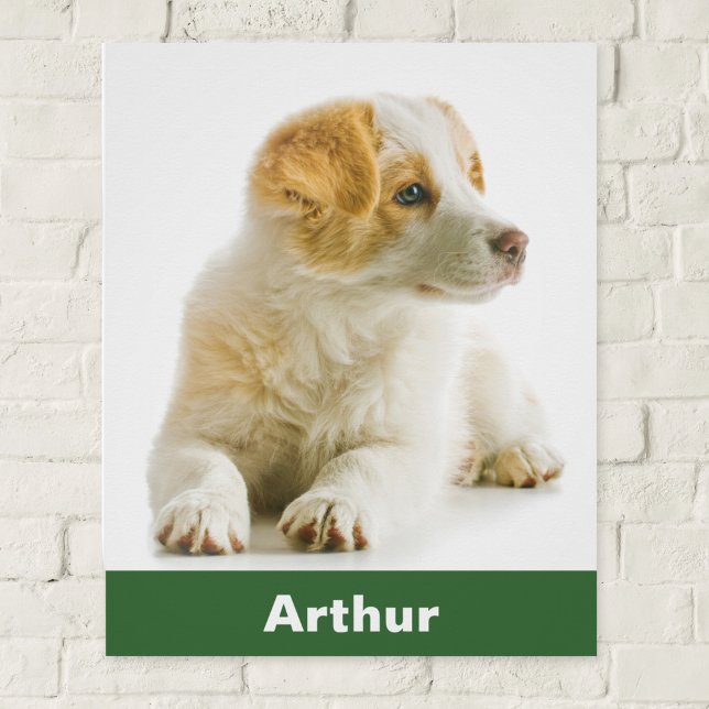 Your Pet Dog Photo Personalised Animal Lover Poster (Create your own glossy poster with a favorite photo of your dog, personalized with your pet's name)