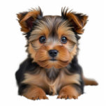 Your Pet Dog Photo Sculpture Cutout<br><div class="desc">Create your own photo sculpture cutout! Simply (1) upload your own photo or artwork,  (2) click on Edit this design button (3) on the top right of the screen,  click on "remove background". Choose your finished size when ordering. Comes with a black stand.</div>