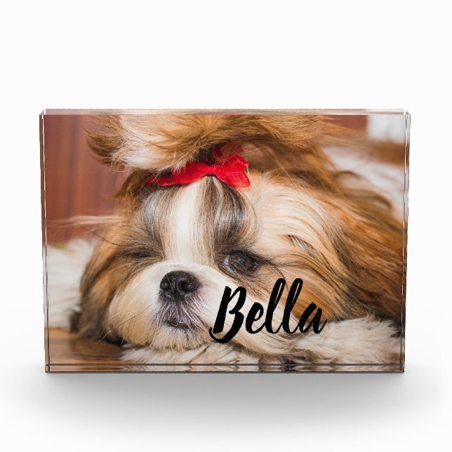 Your pet dog puppy custom photo and name block (Front)