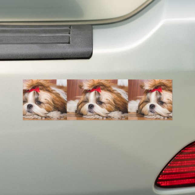 Your pet dog puppy custom photo bumper sticker (On Car)
