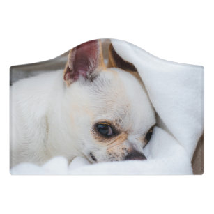 Your pet dog puppy custom photo chihuahua door sign