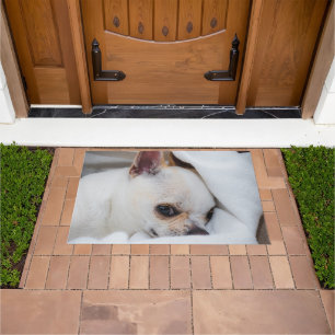 Your pet dog puppy custom photo chihuahua doormat