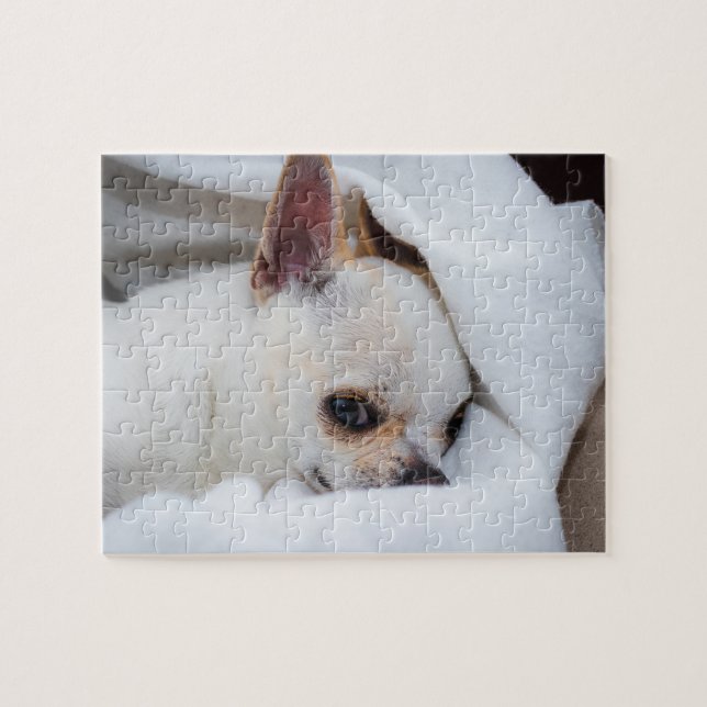 Your pet dog puppy custom photo chihuahua jigsaw puzzle (Horizontal)