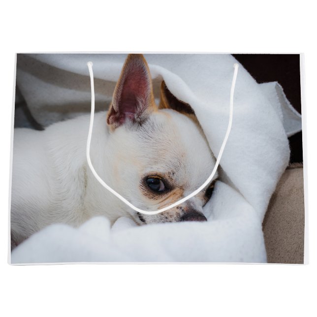 Your pet dog puppy custom photo chihuahua large gift bag (Front)