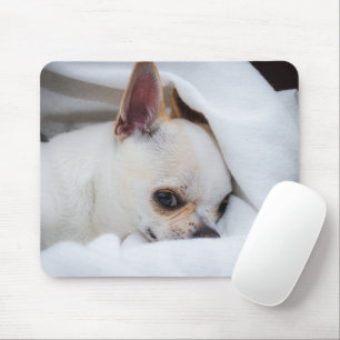 Your pet dog puppy custom photo chihuahua mouse mat