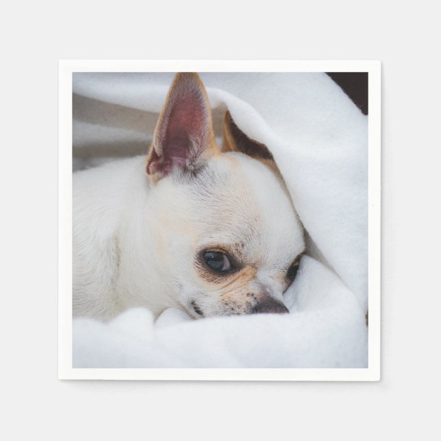 Your pet dog puppy custom photo chihuahua napkin (Front)