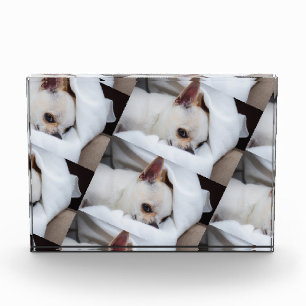 Your pet dog puppy custom photo chihuahua pattern