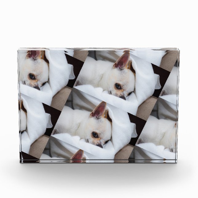 Your pet dog puppy custom photo chihuahua pattern (Front)