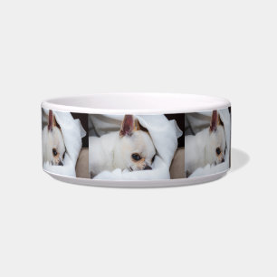Your pet dog puppy custom photo chihuahua pattern bowl