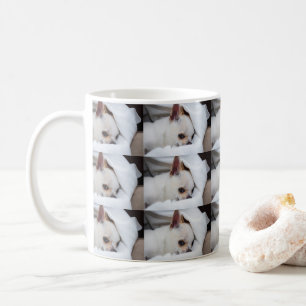 Your pet dog puppy custom photo chihuahua pattern coffee mug