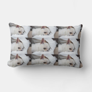 Your pet dog puppy custom photo chihuahua pattern lumbar cushion
