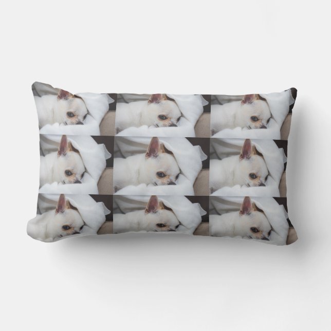Your pet dog puppy custom photo chihuahua pattern lumbar cushion (Front)